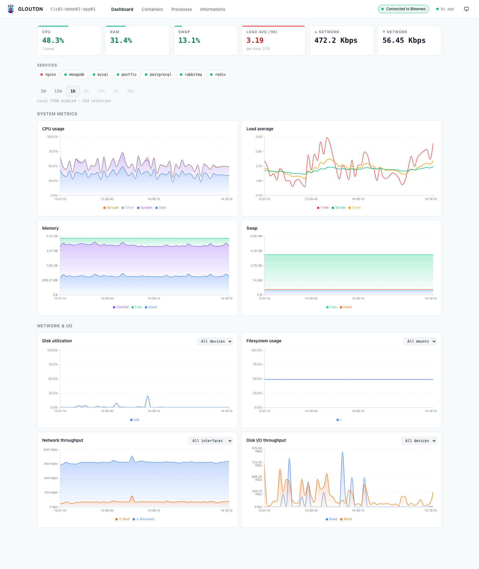 Glouton local dashboard showing system metrics with status-coded charts