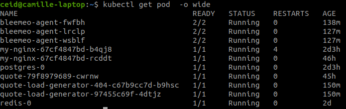 Figure 8: Kubernetes Pods screenshot