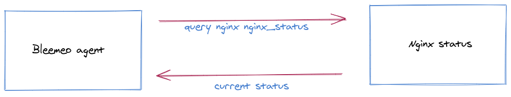 Figure 2: NGINX schema