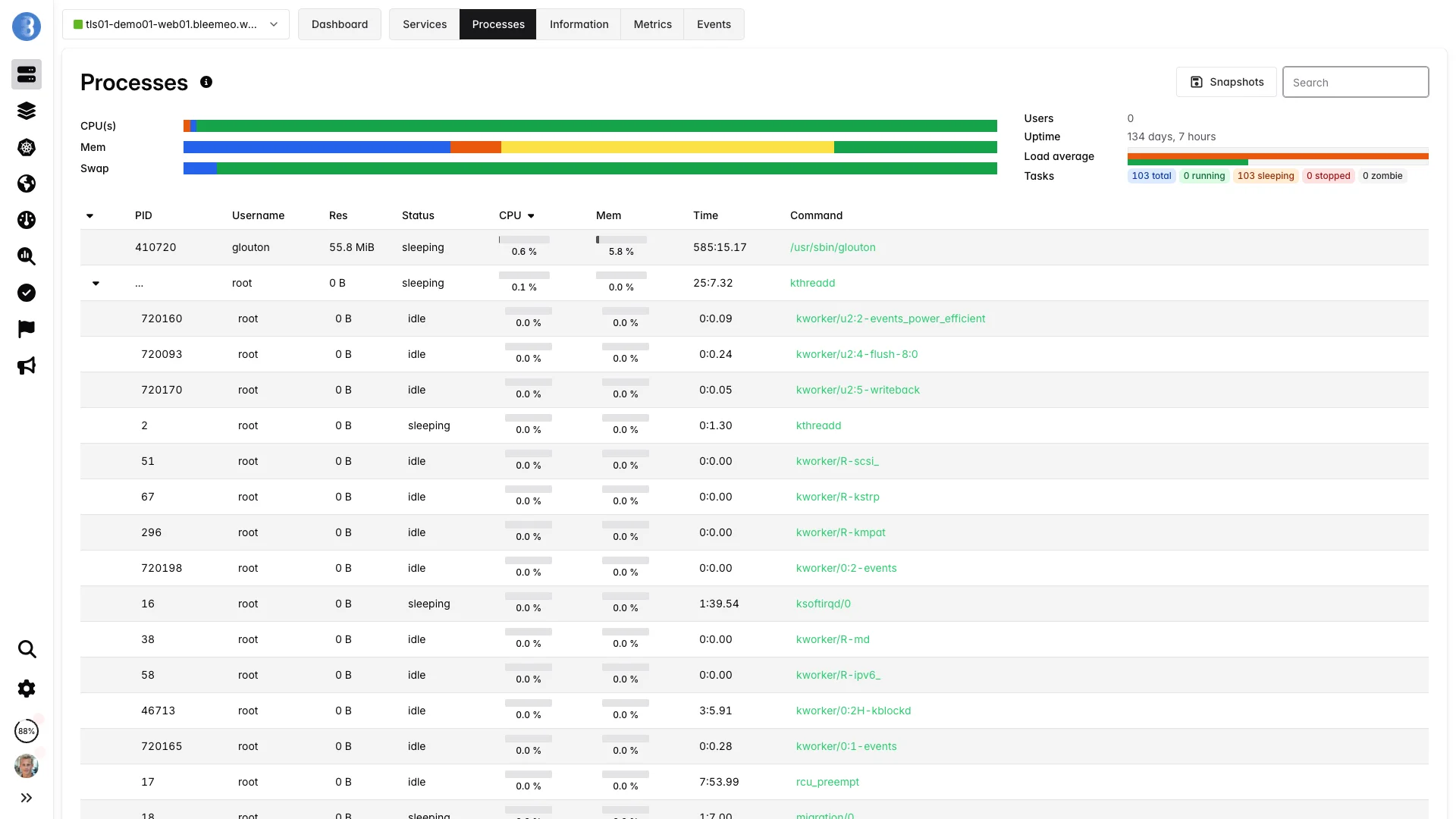 Bleemeo Process Monitoring - Per-process CPU and memory usage tracking
